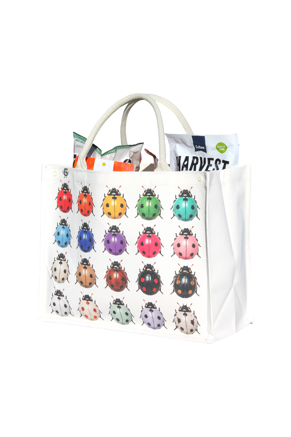 ECO LADYBUG BAG