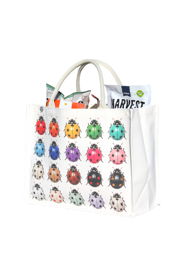 ECO LADYBUG BAG
